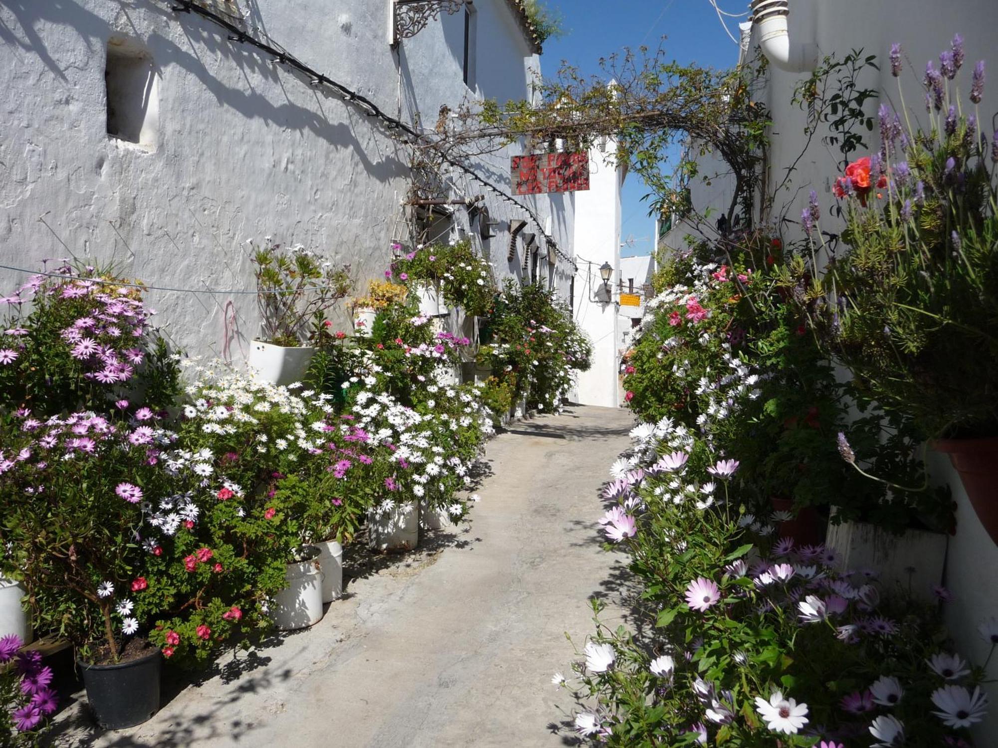 Vivienda Turistica De Alojamiento Rural Silla Vieja Vejer de la Frontera Exteriér fotografie