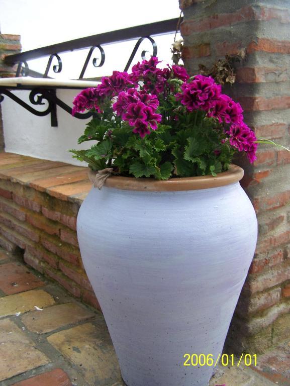 Vivienda Turistica De Alojamiento Rural Silla Vieja Vejer de la Frontera Exteriér fotografie